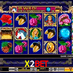 X2BET Rio de Janeiro - Bonus Terms